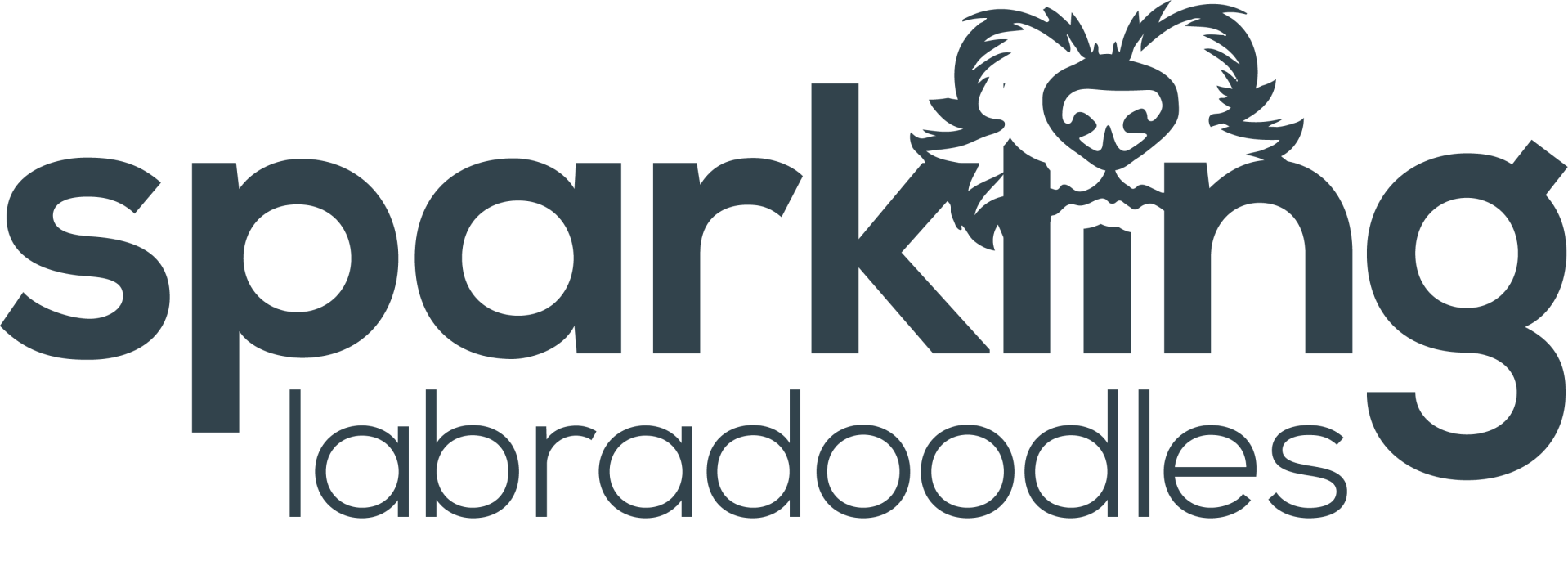 Sparkling Labradoodles